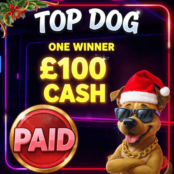 Happy dog wearing Santa hat and sunglasses, celebrating £100 cash prize at Prize Pot Pigs.