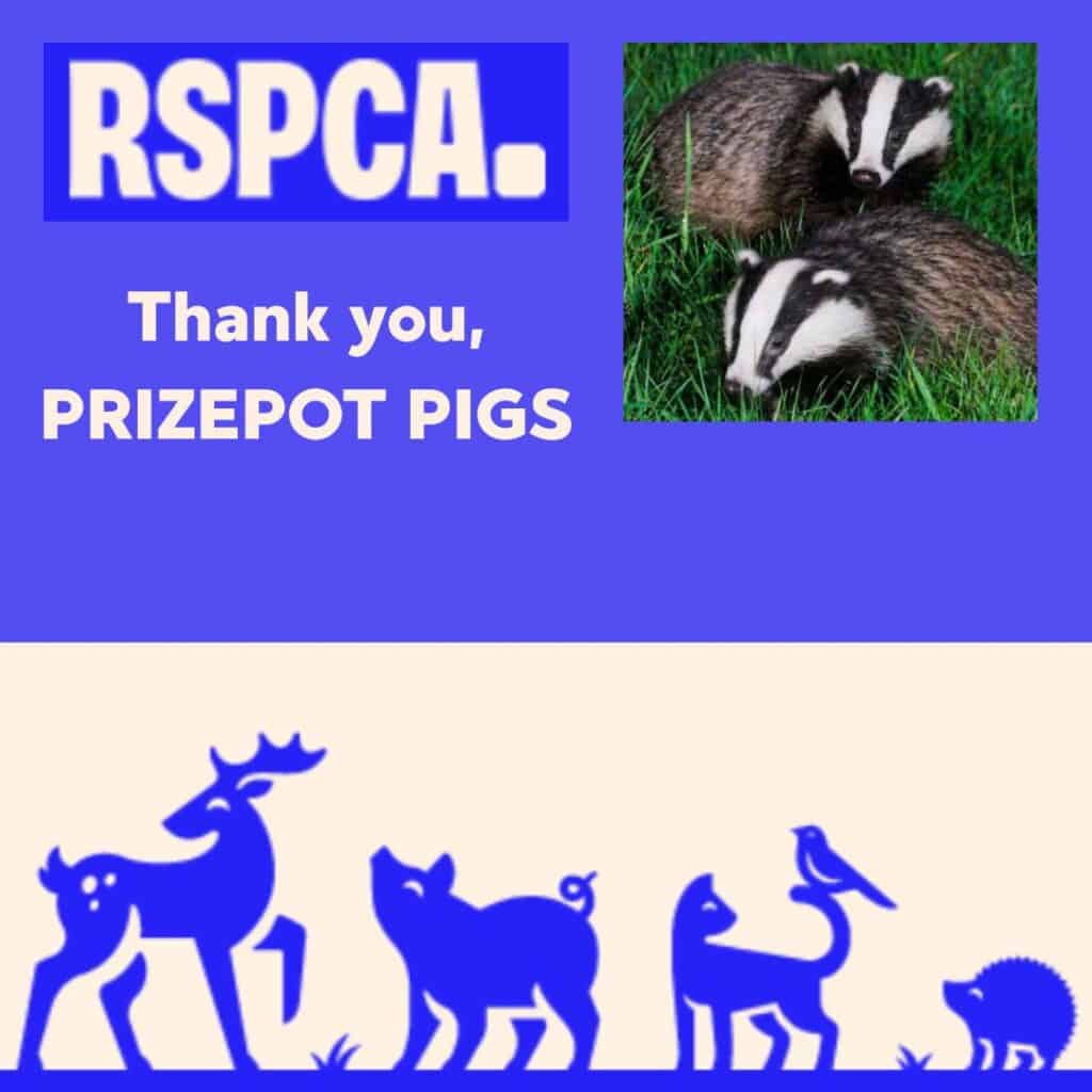 Adorable wild boars at RSPCA rescue centre.