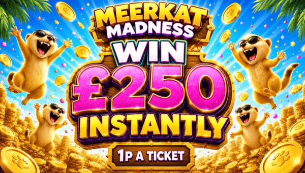 Meerkat Madness